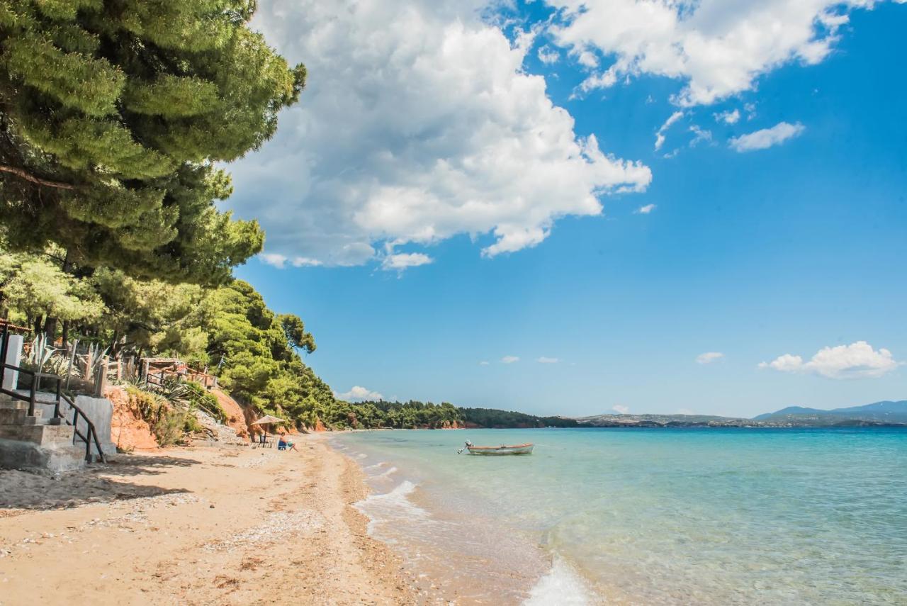 فندق Citro By The Sea ميتامورفوسي المظهر الخارجي الصورة