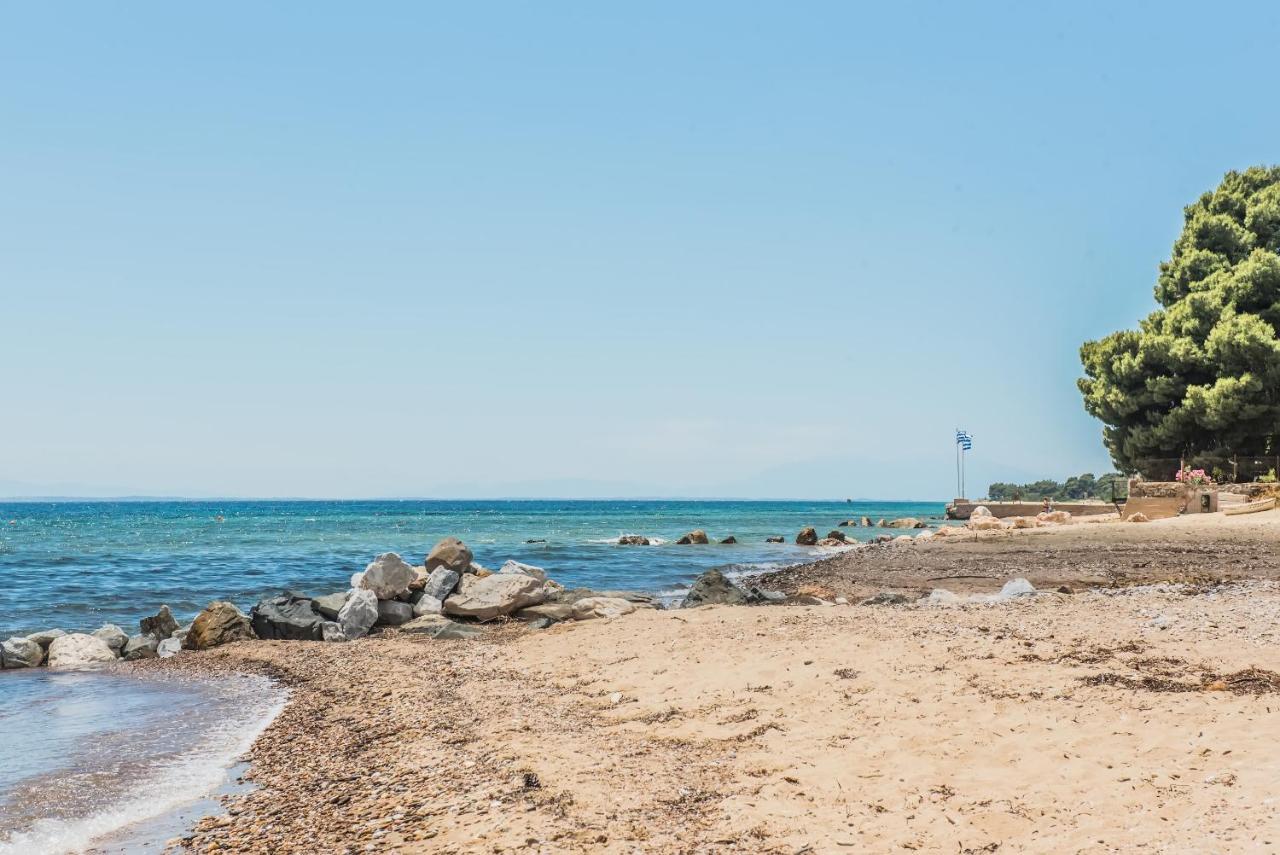 فندق Citro By The Sea ميتامورفوسي المظهر الخارجي الصورة