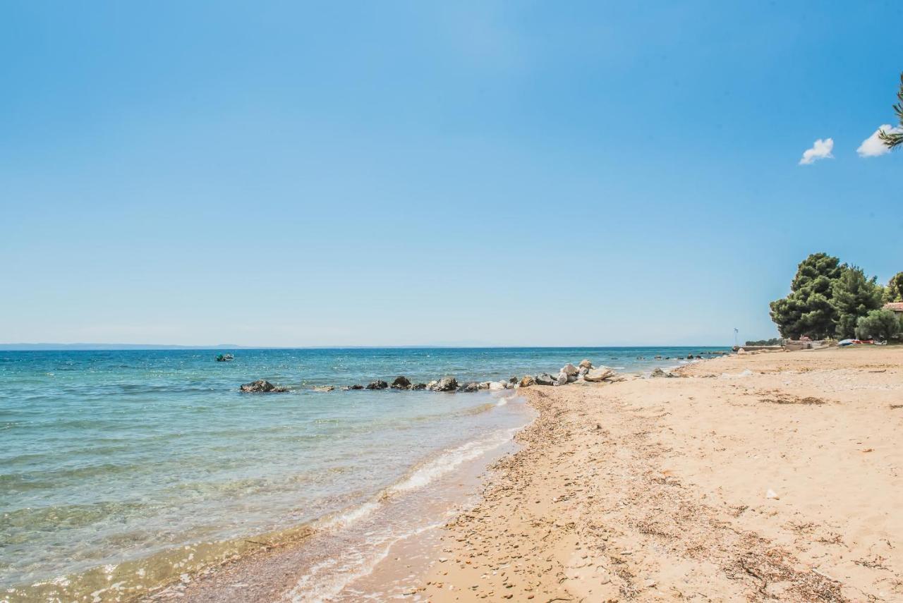 فندق Citro By The Sea ميتامورفوسي المظهر الخارجي الصورة