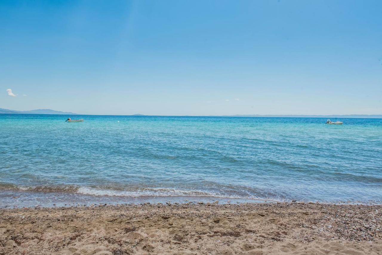 فندق Citro By The Sea ميتامورفوسي المظهر الخارجي الصورة