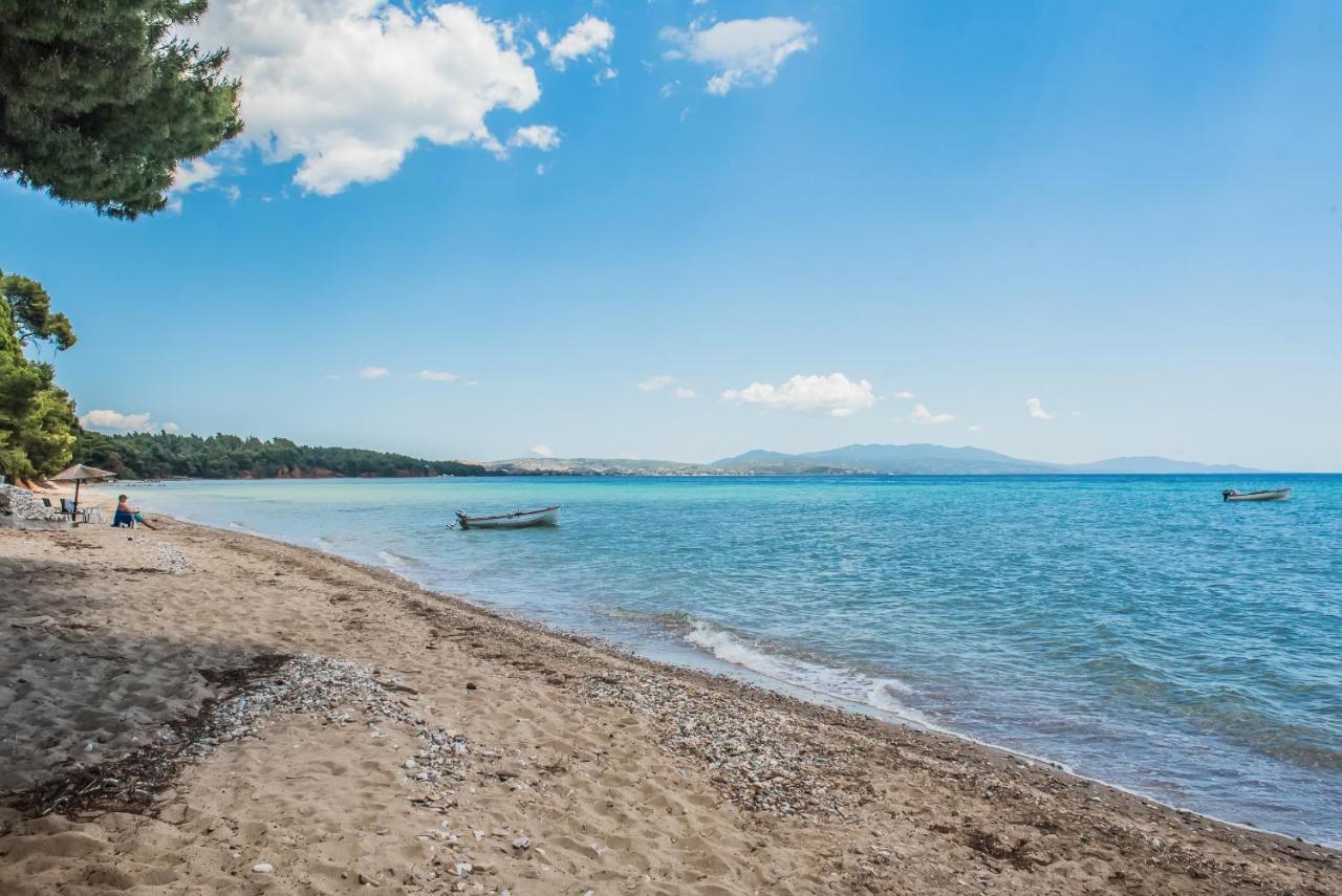 فندق Citro By The Sea ميتامورفوسي المظهر الخارجي الصورة