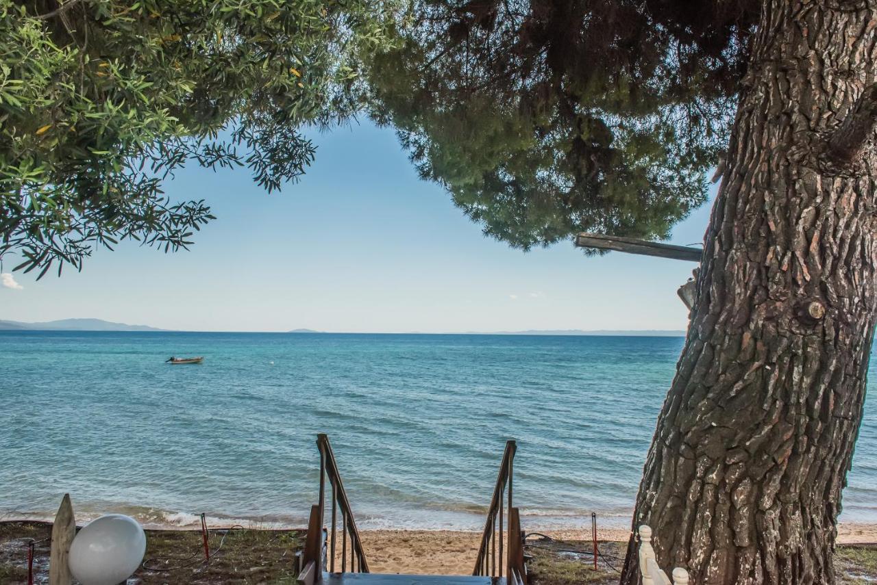 فندق Citro By The Sea ميتامورفوسي المظهر الخارجي الصورة